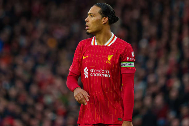 仅仅是对比 仅仅是对比