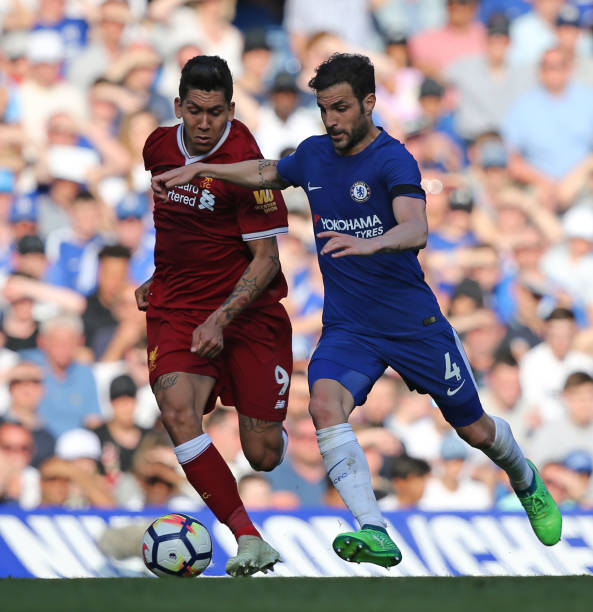 教练组在选 教练组在选